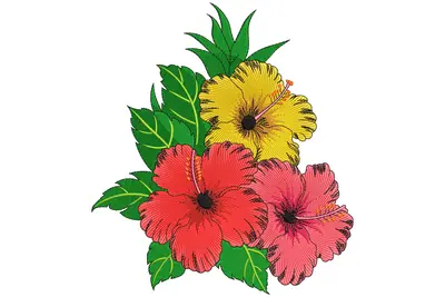 Free Hibiscus Trio Floral Embroidery Design
