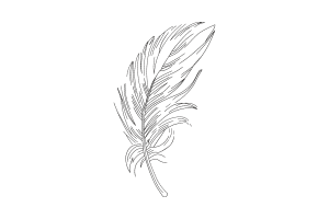 Elegant Feather Embroidery Design